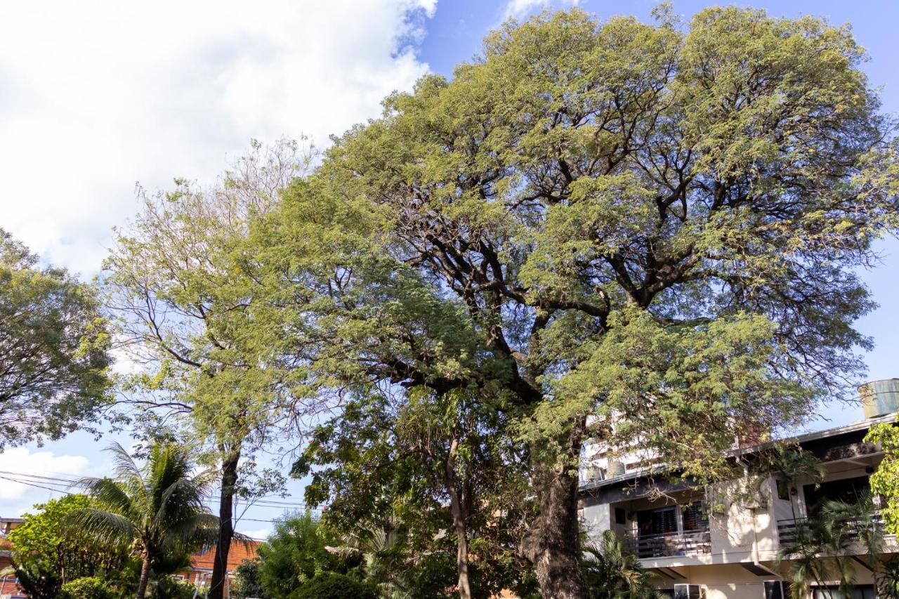 Das Heim Hotel Asuncion Exterior photo